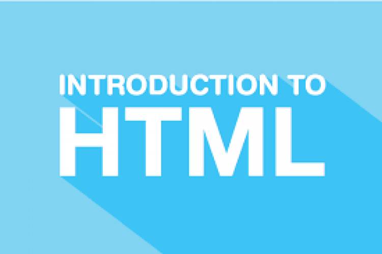 What is html & basic html bangla tutorial 